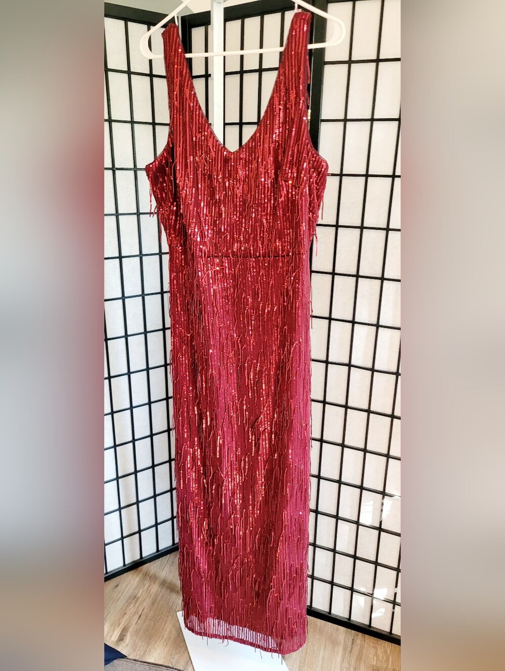 R&M Richards Red Sequin Fringe Maxi Dress